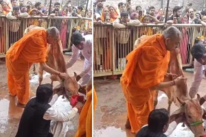 गोपाष्टमी पर गायों का पूजन : श्रद्धा और उत्साह का रहा माहौल, धार्मिक और सामाजिक संस्थाओं ने खिलाया चारा