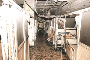 फायर फाइटिंग सिस्टम फेल, अलार्म बजता तो बच जाती 8 जिंदगियां : आईसीयू के स्टोर रूम में लगे स्मॉक डिटेक्टर ने नहीं किया काम, छोटी सी चिंगारी ने लिया आग का रूप