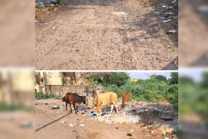 कोटा दक्षिण वार्ड 32 - उड़िया बस्ती का मुख्य नाला बना परेशानी, सड़कों में गड्ढों की भरमार