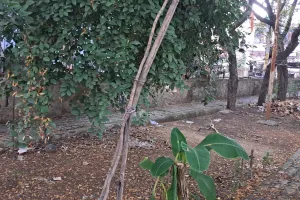 कोटा दक्षिण वार्ड 52 - पार्क में सुविधाओं का अभाव, खुले विद्युत ट्रांसफार्मर से हादसों का खतरा, खाली प्लॉट बन रहे कचरा प्वॉइंट