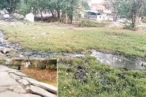 कोटा उत्तर वार्ड 45 -गंदगी, जलभराव और आधारभूत सुविधाओं की कमी से जूझ रहे हरिजन बस्ती के निवासी 