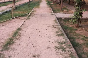 कोटा दक्षिण वार्ड 36 - पार्कों में सुविधाओं का अभाव बना परेशानी, खाली प्लॉटों में भरा पानी बन रहा दिक्कत