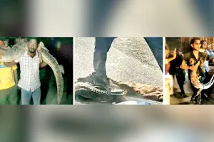 रील के लिए मगरमच्छ से बैर ले रहे युवा, सोशल मीडिया पर वायरल होने की सनक में वन्यजीव संरक्षण कानून का कर रहे खुला उल्लंघन