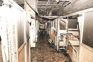 SMS Fire Incident : ट्रोमा सेंटर आईसीयू में आग की घटना को 20 दिन बीते, आज तक नहीं आई रिपोर्ट