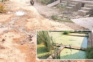 कोटा दक्षिण वार्ड 33  - खाली प्लॉट में कचरा, पानी बना परेशानी, आधे वार्ड में ही प्रतिदिन होती है सफाई 