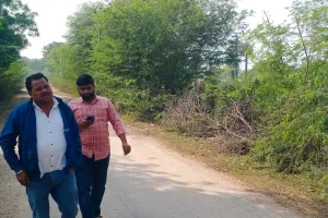 असर खबर का - भण्डेडा फीडर की 11 केवी लाइन के जल्द बदले जाएंगे पोल व तार 