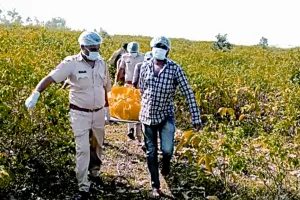 जंगल में युवक-युवती के मिले सड़े-गले शव : युवती का शव अर्द्धनग्न अवस्था में मिला, युवक पेड़ से लटका ; इलाके में हड़कंप