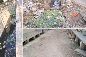 कोटा दक्षिण वार्ड 16 - नाला और सड़कें बनी परेशानी का कारण, कभी-कभी आती है कचरा गाड़ी