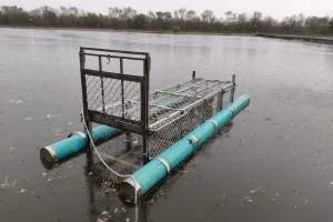 कोटा में बना पहला तैरता मगरमच्छ का पिंजरा, देशभर में सुर्खियां बटोर रहा कोटा का नवाचार, झालावाड़ से जयपुर तक ने मांगा कोटा का फ्लोटिंग ट्रैप