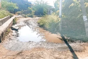 कीचड़ से श्रीरामनगर कॉलोनी का मुख्य मार्ग बना दलदल, दो पहिया वाहन चालक फिसल कर हो रहे चोटिल 