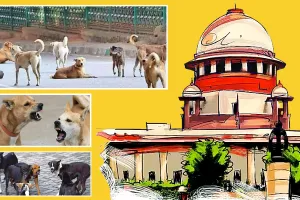 बस अड्डों और रेलवे स्टेशनों से हटाएं आवारा कुत्ते : सुप्रीम कोर्ट ने दिया आदेश, कहा- शेल्टर होम में रखे
