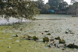 सीवी गार्डन की खूबसूरती पर अब बदहाली की छाया, गार्डन में घूम रहे असामाजिक तत्व, पहले भी कई बार हो चुकी चोरियां