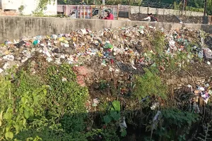 कोटा उत्तर वार्ड 2- घरों के ऊपर से गुजर रही हाइटेंशन लाइन, नालों में कचरे का अंबार, कॉलोनियों में नहीं पार्क व सामुदायिक भवन