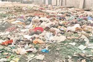 रीको एरिया होने से निगम नहीं करवा रहा सफाई, मुख्य मार्गों पर हो रही दिन-रात सफाई