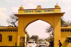 सरिस्का बाघ अभयारण्य की नई सीमा तय करने की प्रक्रिया शुरु : प्रशासन ने मांगी आपत्तियां, अधिसचूना की जारी