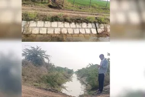 पापड़ी माइनर में भरी मिट्टी से अटका जल प्रवाह टेल क्षेत्र के किसानों में बढ़ी चिंता