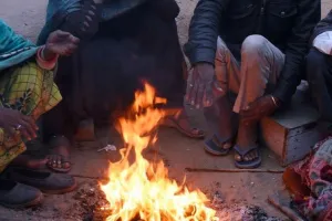 Weather Update : उत्तर भारत से आई सर्द हवाओं का असर कम, तापमान में बढ़ोतरी 
