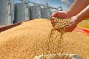 गिव अप अभियान : 48 लाख अपात्रों ने छोड़ी खाद्य सुरक्षा, 70 लाख से अधिक वंचितों को मिला अब तक लाभ