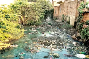 कोटा उत्तर वार्ड 14 - बदहाली: कचरे से अटा पड़ा नाला, सड़क पर खड़े होते ट्रैक्टरों से लगता जाम, रोशनी, बच्चों के लिए नहीं है खेलने का पार्क