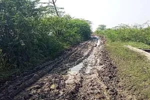 सात साल से नहीं बना ढगारिया नहर मार्ग, फसल तैयार, खेतों से निकालना मुश्किल, किसानों की बढ़ी परेशानी