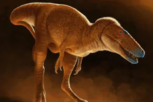 सहनस्त्रा नदी से मिला डायनासोर का जीवाश्म : डायनासोर के सींग और आंशिक पंख मौजूद, इसका मिलना बहुत महत्वपूर्ण