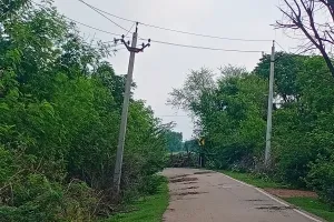विद्युत विभाग की अनदेखी से खतरे की स्थिति, भण्डेड़ा फीडर की 11 केवी लाइन पर नहीं हुआ रखरखाव 