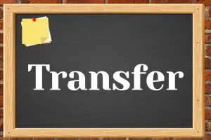 सार्वजनिक निर्माण विभाग : पीडब्ल्यूडी में बड़ा प्रशासनिक बदलाव, 168 अभियंताओं के पदस्थापन आदेश जारी