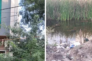 कोटा दक्षिण वार्ड 19 : खाली प्लॉट, झूलते विद्युत तार,पार्कों में लगे झूले क्षतिग्रस्त , सीवरेज चैंबर बने परेशानी