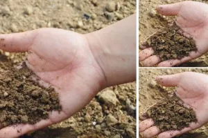 माटी बचेगी तभी तो मानव बचेगा