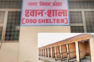 असर खबर का -  74 कैनाल वाली श्वानशाला को बनाया डॉग शेल्टर हाउस,अस्पताल,शिक्षण संस्थानों व सरकारी कार्यालयों से लावारिस श्वानों को लाकर रखेंगे