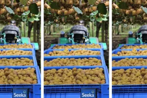 भारत ने न्यूजीलैंड से मिलाया हाथ, अब कोटा में सस्ती होगी कीवी