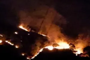 उत्तराखंड के सल्ट क्षेत्र में जंगलों में लगी भीषण आग : एक हेक्टेयर से अधिक वन क्षेत्र प्रभावित, दिखी आग की भयानक लपटें