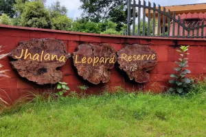 झालाना लेपर्ड रिजर्व का तैयार हो रहा थ्रीडी डिजिटल मॉडल, जल्दी ही मिलेगा वर्चुअल जंगल सफारी का अनुभव