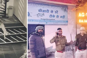 सोशल मीडिया पर बघेरे का वीडियो वायरल, वन टीम ने गश्त शुरू की