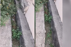 कोटा दक्षिण वार्ड 6 - नाले का ढकान, गंदगी और खाली मकान बने परेशानी, कचरा गाड़ी का समय नहीं निर्धारित 