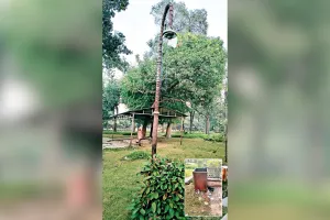 गोपाल निवास बाग बदहाल : खुले बिजली बोर्ड, अंधेरा और अव्यवस्था से बढ़ा खतरा, पार्क में  लगे सोलर पैनल बने  शोपीस 