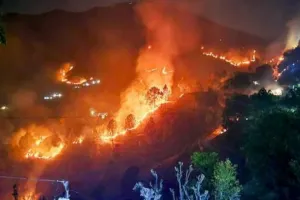 उत्तराखंड में आग गंभीर चिंता का विषय : सर्दियों में भी जंगलों में धधकी आग, पेड़-पौधों के साथ जीव-जन्तुओं के भी झुलसने की आशंका