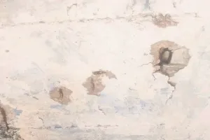 लापरवाही : आंगनबाड़ी पाठशाला पर मंडराता खतरा