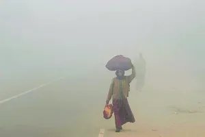 Weather Update : राजस्थान में कड़ाके की सर्दी के बीच 2 दिन बारिश की चेतावनी, 11 जिलों में संभावना 