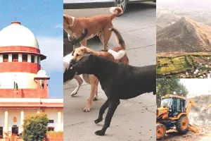 अलविदा 2025 :  सुप्रीम कोर्ट के 10 ऐतिहासिक फैसले: आवारा कुत्तों से बुलडोजर एक्शन और अरावली तक