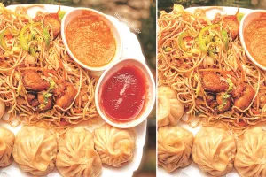 चाऊमीन, बर्गर, मोमास और मैगी के अधिक सेवन से छात्रा की मौत : आंतें आपस में चिपकीं, उसमें छेद हो गए, पाचन तंत्र ने भी काम करना बंद किया