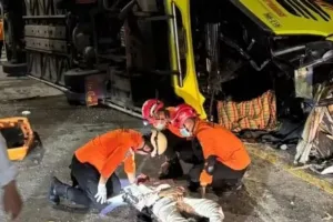 इंडोनेशिया में भीषण सड़क हादसा, 15 लोगों की मौके मौत, 19 अन्य घायल