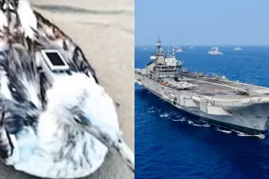 कर्नाटक में नेवी बेस के पास मिला चीनी GPS ट्रैकिंग डिवाइस लगा पक्षी, सर्च अभियान जारी