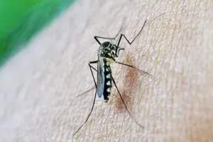 मलेरिया से लड़ने के नए तरीकों का इस्तेमाल करके दस लाख लोगों की जानें बचाई, जानें पूरा मामला  