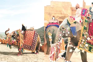 नए साल में आमेर महल में चांदी के गहनों से सजे हथियों ने किया पर्यटकों का स्वागत, नई टिकट दरें भी हुईं लागू 