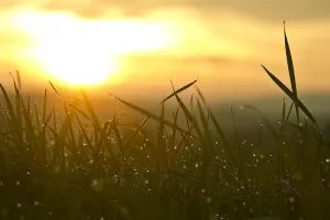 नववर्ष में समाज के निर्माण का संकल्प लें