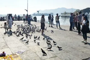 सोशल मीडिया पर छाई लेकसिटी : दो लाख 80 हजार घरेलू और 20 हजार 133 परदेशी पावणों के हुए पग फेरे, तोड़े रिकॉर्ड