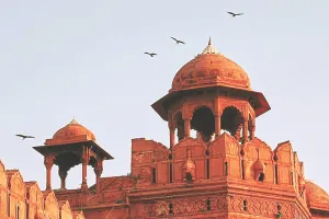 रिपब्लिक डे से पहले 7 दिन चलेगी चीलों की चिकन पार्टी, दिल्ली सरकार ने किए खास इंतजाम