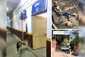 जिन्हें स्कूलों को श्वान मुक्त करने की सौंपी जिम्मेदारी, उन्हीं के ऑफिस में पल रहे कुत्ते