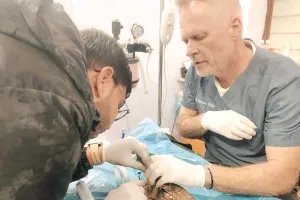 मकर संक्रांति से पहले ही पतंगों से बड़ी संख्या में घायल होने लगे परिंदे, घायल पंछियों की विदेश से आकर कर रहे सेवा